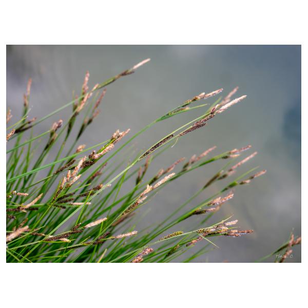 PHOTO84, CLUB, 84 , LUBERON